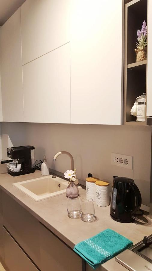 Elias Central Apartment - 2 Bedrooms & Free Parking 오라데아 외부 사진